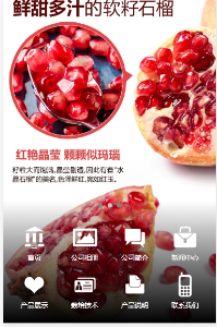 软籽石榴