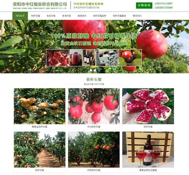 建设中红石榴基地网站
