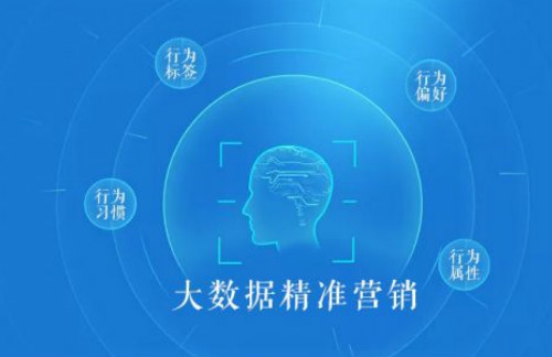 以主流方式、定制开发为主的网络公司