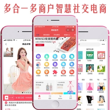 社交电商系统.webp.jpg